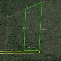 Terreno en venta al Norte de Mérida | 2.6 Hectáreas | Conkal Yucatán