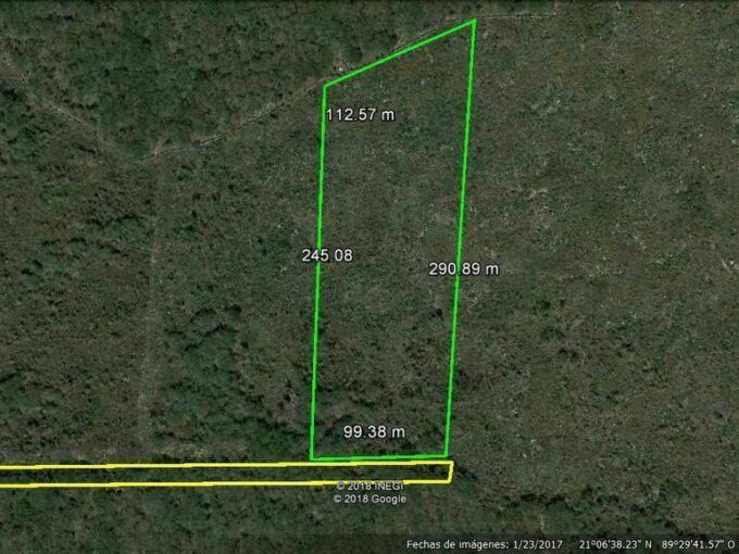 Terreno en venta al Norte de Mérida | 2.6 Hectáreas | Conkal Yucatán