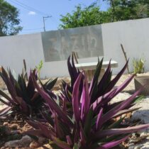 Terrenos en Venta al Norte de Mérida | Zazil Conkal | Conkal