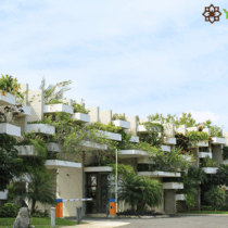 Terrenos en Venta al Norte de Mérida| Yaxlum | Conkal