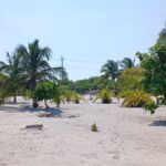 Terreno en Venta en la Playa| Uaymitún