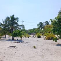 Terreno en Venta en la Playa| Uaymitún