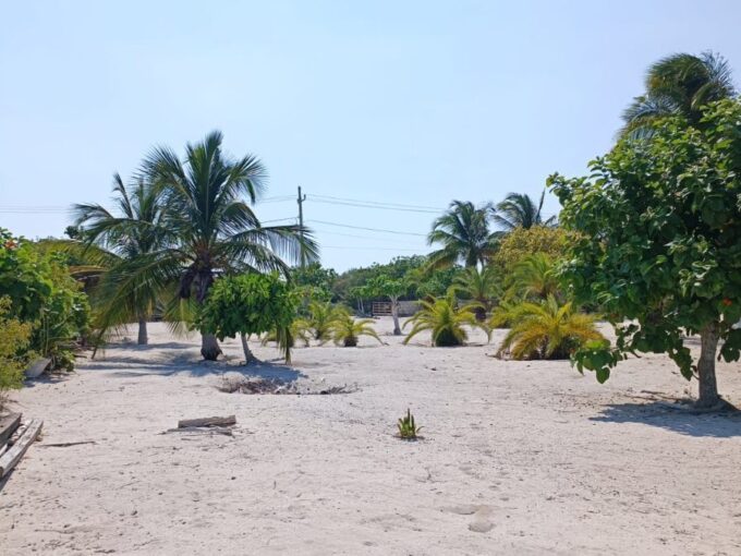Terreno en Venta en la Playa| Uaymitún